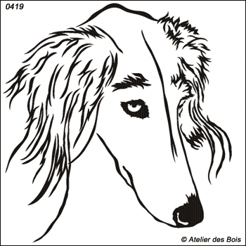 Hadjia, Tête de Saluki (traits fins, grands et moyens modèles)