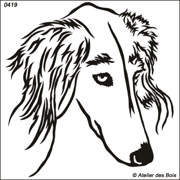 Hadjia, Tête de Saluki (traits larges, petits et moyens modèles)