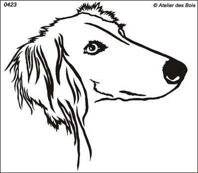 Djilane, Tête de Saluki (traits larges, petits/moyens modèles)