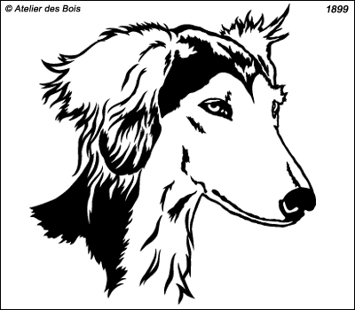 Orphée, tête de Saluki