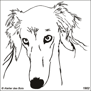 Shirine, Tête de Saluki de face (traits fins, grands modèles)