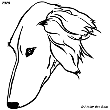 Zarrinah, Tête de Saluki