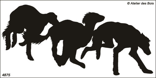 Shiraz, Silhouettes de Salukis en course 3 chiens