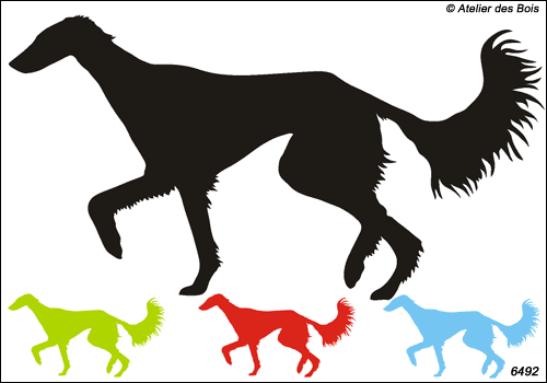 Yazdgard, Silhouette de Saluki au trot