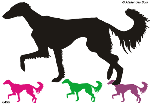 Yazdgard, Silhouette de Saluki au trot