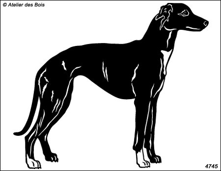 Graham, Whippet debout (noir)