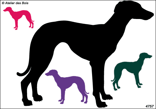 Nikki, Silhouette de Whippet debout