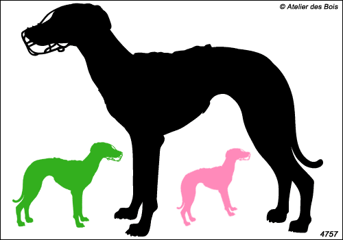 Nikki, Silhouette de Whippet debout en tenue de course