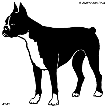 Rudolf, Boxer debout aux oreilles taillées (Traits fins)