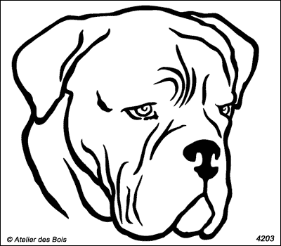 Urbain, Tête de dogue de Bordeaux (traits fins)