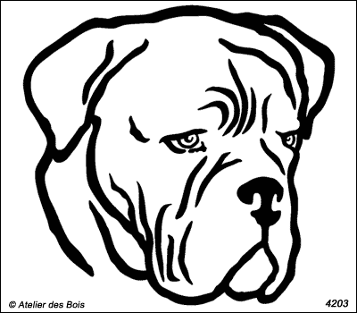 Urbain, Tête de dogue de Bordeaux (traits larges)