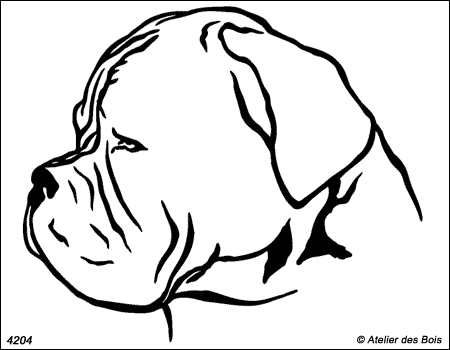 Hubert, Profil de dogue de Bordeaux (traits fins)
