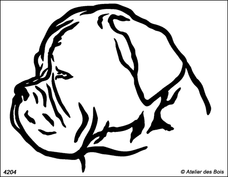 Hubert, Profil de dogue de Bordeaux (traits larges)