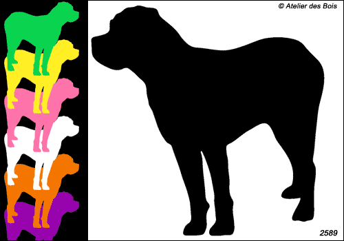 Zeno, Silhouette de Cane Corso