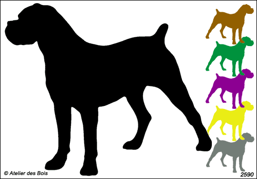 Stefano, Silhouette de Cane Corso