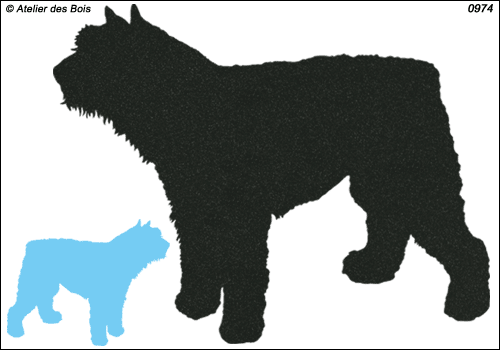 Silhouette de Bouvier des Flandres debout