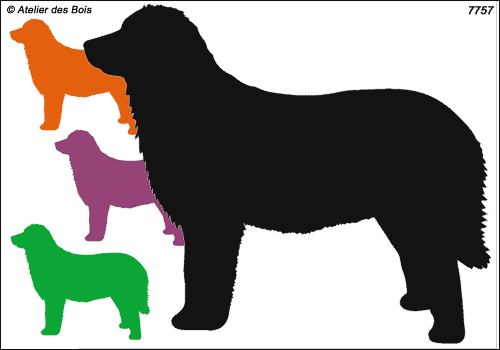 Silhouette de Leonberg debout