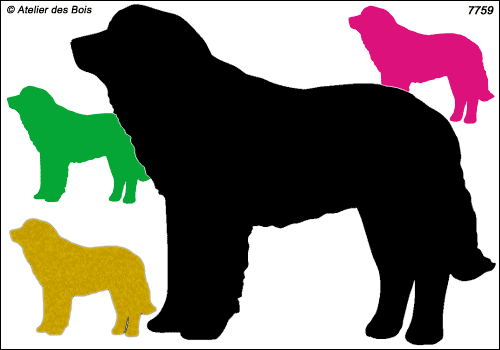 Silhouette de Leonberg debout