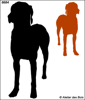 Silhouette de Rhodesian Ridgeback debout de face