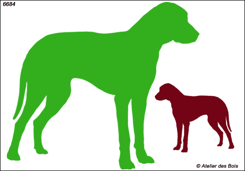 Silhouette de Rhodesian Ridgeback debout