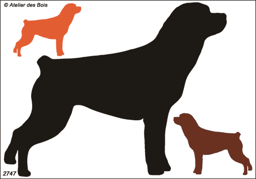 Silhouette de Rottweiler debout