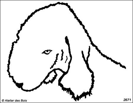 Jerry, Tête de Bedlington Terrier (Traits fins)