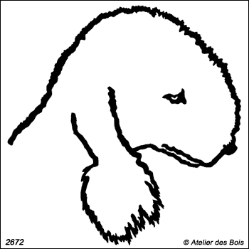 Brad, Tête de Bedlington Terrier de profil (Traits fins)