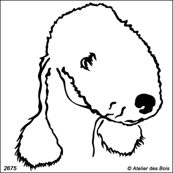 Hurry, Tête de Bedlington Terrier (Traits fins)