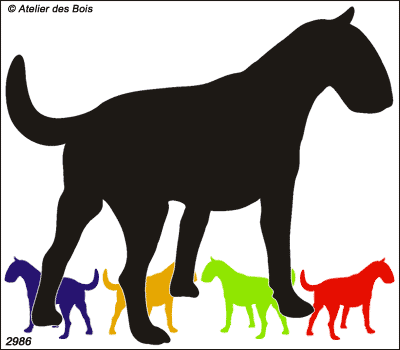 Joshua, Silhouette de Bull Terrier