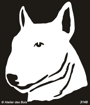 Jeffrey, Tête de Bull Terrier clair