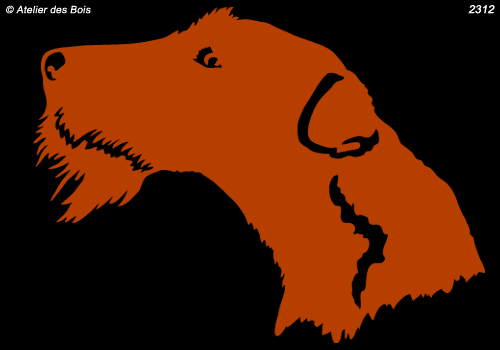 Owen, Tête d'Irish Terrier (Fond de couleur, sans traits)