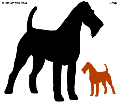 Kadeg, Silhouette d'Irish Terrier debout