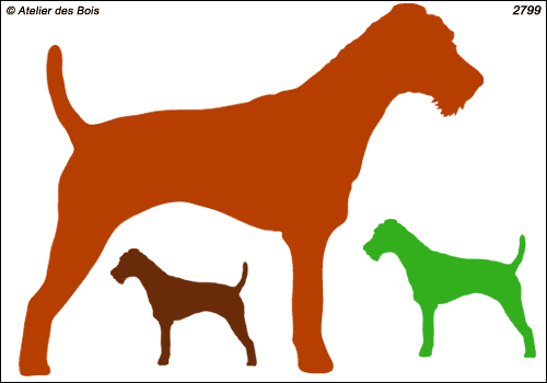 Liam, Silhouette d'Irish Terrier debout