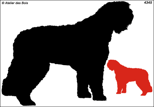 Silhouette de Terrier Noir de Russie debout