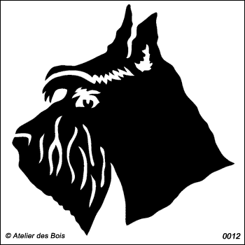 Irvine, Tête de Scottish Terrier (Foncé, traits larges)