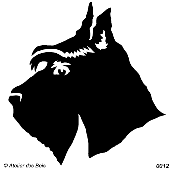 Irvine, Tête de Scottish Terrier barbe sans marques (Foncé)