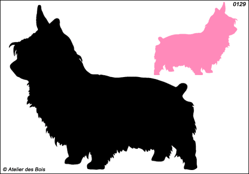 Silhouette de Silky Terrier