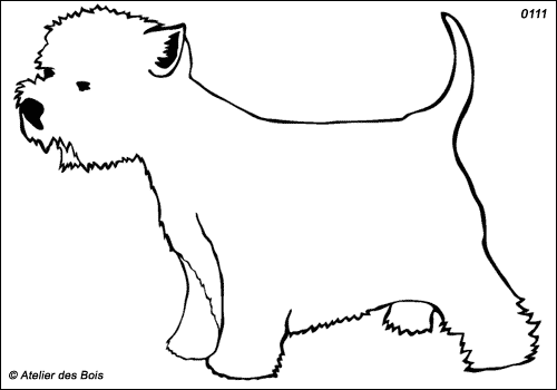 Malcom, West Highland White Terrier debout (Contours fins)