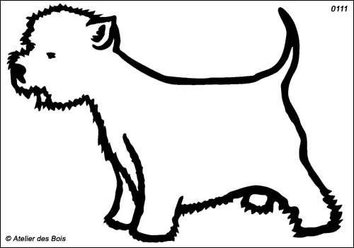 Malcom, West Highland White Terrier debout (Contours larges)