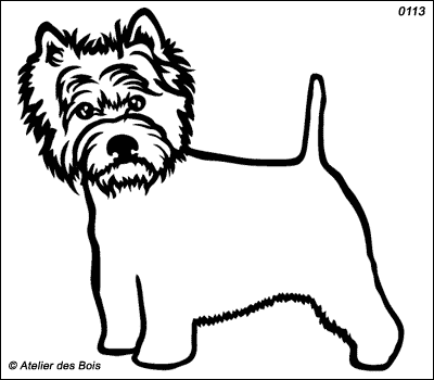 Mallaig, West Highland White Terrier debout (Contours)