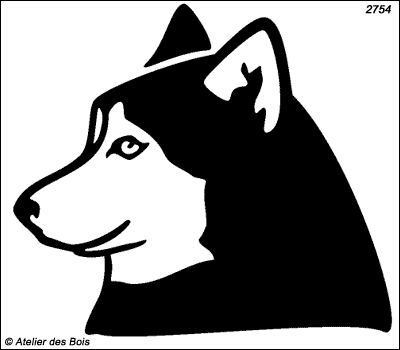 Amga, Profil de Siberian Husky (Traits larges)