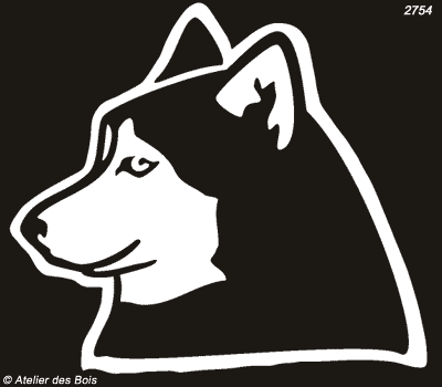 Amga, Profil de Siberian Husky (Clair, traits larges)