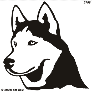 Igarka, Siberian Husky masque ouvert (Traits fins)