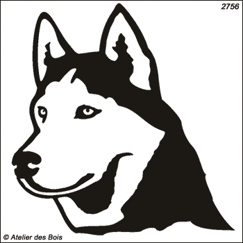 Igarka, Siberian Husky masque ouvert (Traits larges)