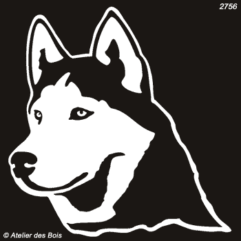 Igarka, Siberian Husky masque ouvert (Clair, traits fins)