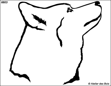 Tiksi, Profil de Siberian Husky, modèle blanc