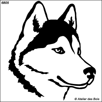 Majayak, Tête de Siberian Husky, masque ouvert