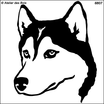 Zejanir, Tête de Siberian Husky, masque ouvert