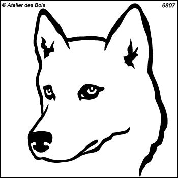 Zejanir, Tête de Siberian Husky, modèle blanc