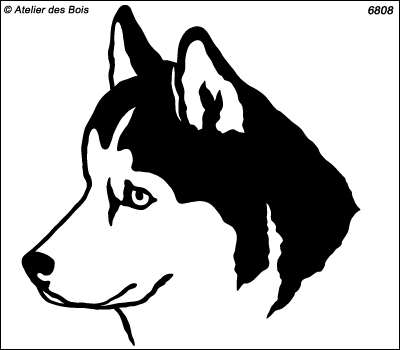 Ambarlik, Profil de Siberian Husky, masque ouvert